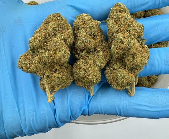 Blueberry Premium CBD kanapių žiedai